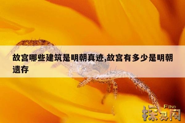 故宫哪些建筑是明朝真迹,故宫有多少是明朝遗存