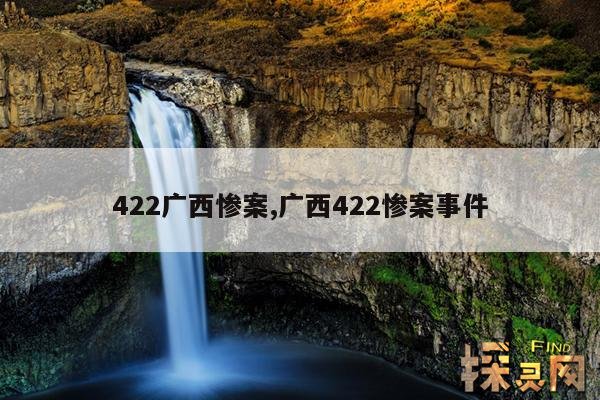 422广西惨案,广西422惨案事件