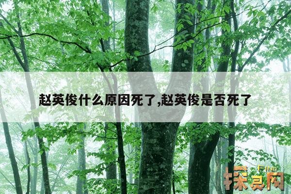 赵英俊什么原因死了,赵英俊是否死了