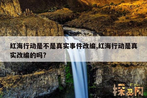 红海行动是不是真实事件改编,红海行动是真实改编的吗?