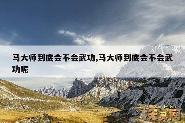 马大师到底会不会武功,马大师到底会不会武功呢
