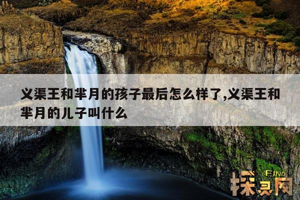 义渠王和芈月的孩子最后怎么样了,义渠王和芈月的儿子叫什么