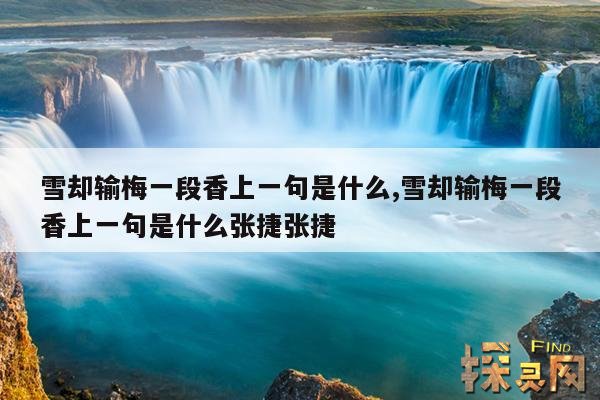 雪却输梅一段香上一句是什么,雪却输梅一段香上一句是什么张捷张捷