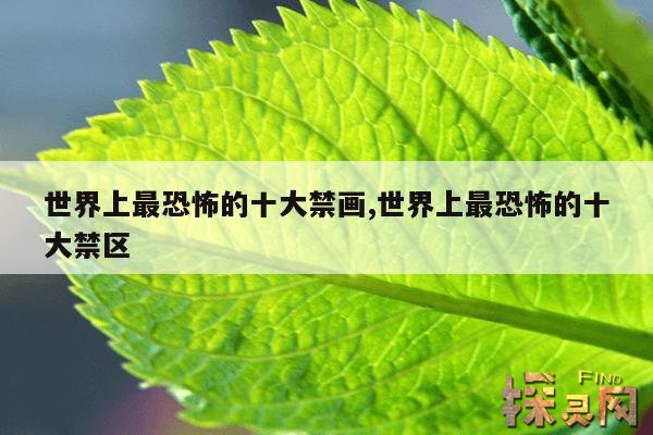 世界上最恐怖的十大禁画,世界上最恐怖的十大禁区