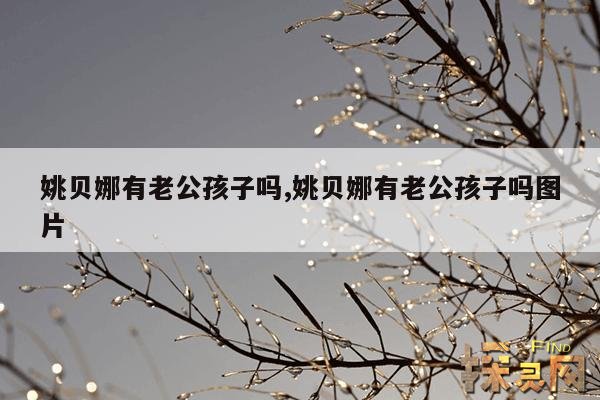 姚贝娜有老公孩子吗,姚贝娜有老公孩子吗图片