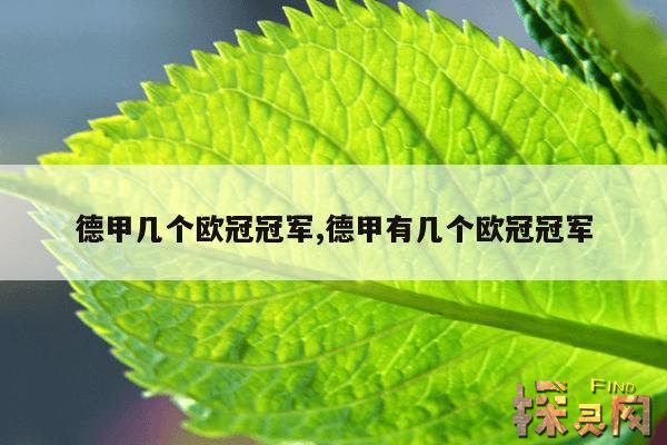 德甲几个欧冠冠军,德甲有几个欧冠冠军
