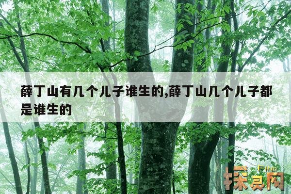 薛丁山有几个儿子谁生的,薛丁山几个儿子都是谁生的