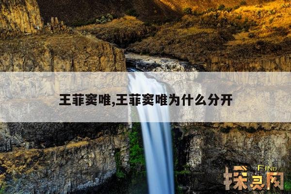 王菲窦唯,王菲窦唯为什么分开