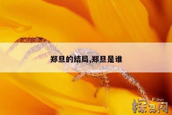 郑旦的结局,郑旦是谁