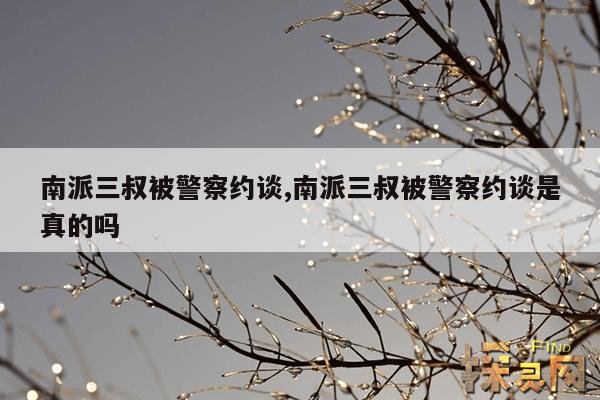南派三叔被警察约谈,南派三叔被警察约谈是真的吗