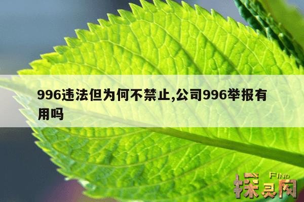996违法但为何不禁止,公司996举报有用吗