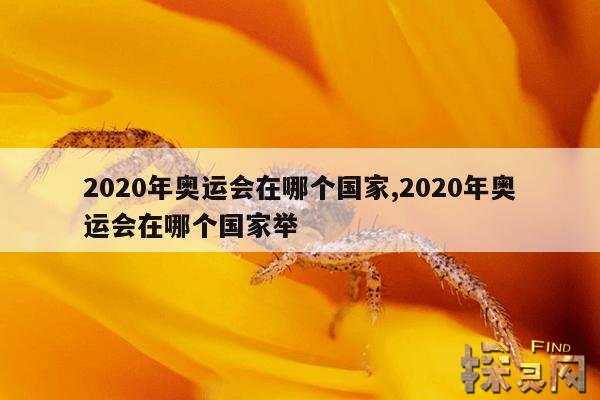 2020年奥运会在哪个国家,2020年奥运会在哪个国家举