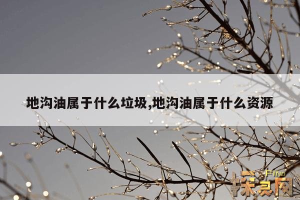 地沟油属于什么垃圾,地沟油属于什么资源