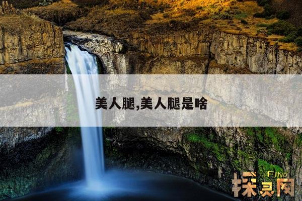 美人腿,美人腿是啥