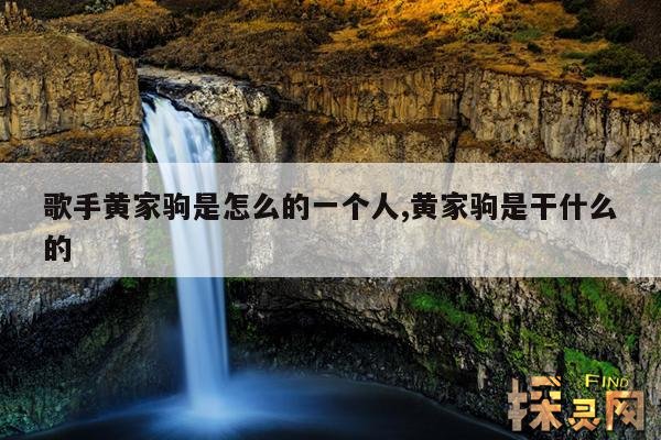 歌手黄家驹是怎么的一个人,黄家驹是干什么的