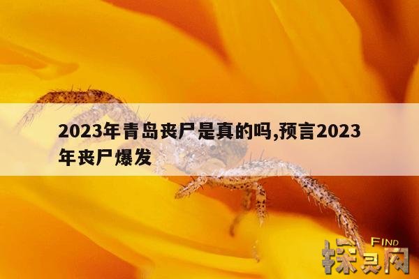 2023年青岛丧尸是真的吗,预言2023年丧尸爆发