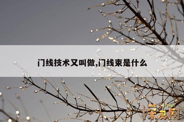 门线技术又叫做,门线束是什么