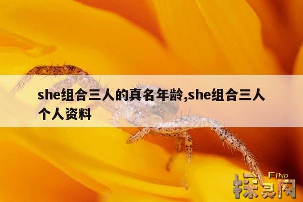 she组合三人的真名年龄,she组合三人个人资料