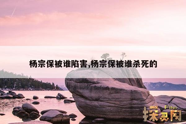 杨宗保被谁陷害,杨宗保被谁杀死的