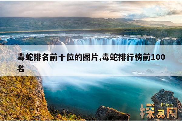 毒蛇排名前十位的图片,毒蛇排行榜前100名