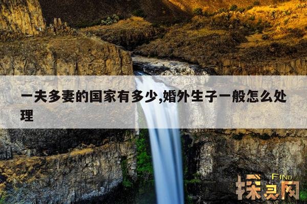 一夫多妻的国家有多少,婚外生子一般怎么处理