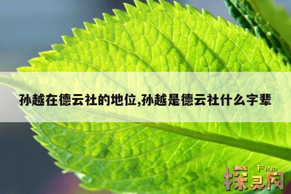 孙越在德云社的地位,孙越是德云社什么字辈