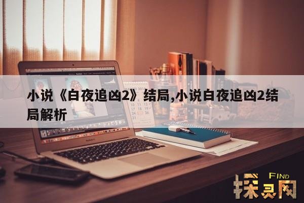 小说《白夜追凶2》结局,小说白夜追凶2结局解析