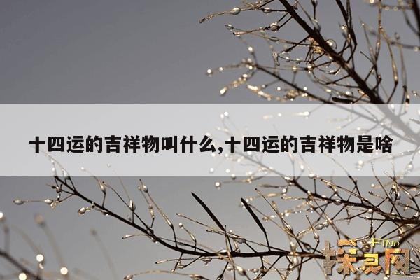 十四运的吉祥物叫什么,十四运的吉祥物是啥