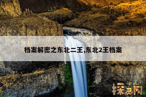 档案解密之东北二王,东北2王档案