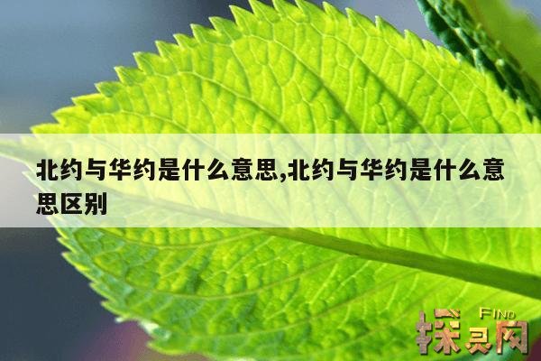 北约与华约是什么意思,北约与华约是什么意思区别