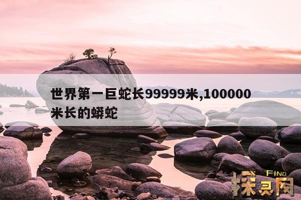 世界第一巨蛇长99999米,100000米长的蟒蛇