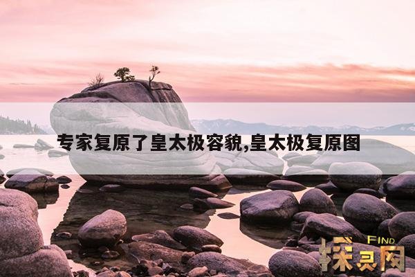 专家复原了皇太极容貌,皇太极复原图