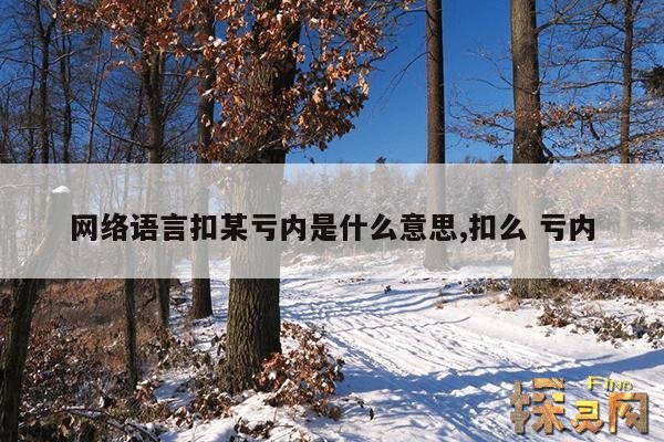 网络语言扣某亏内是什么意思,扣么 亏内
