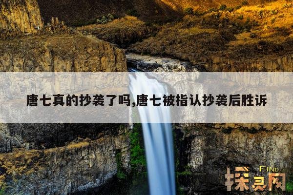 唐七真的抄袭了吗,唐七被指认抄袭后胜诉