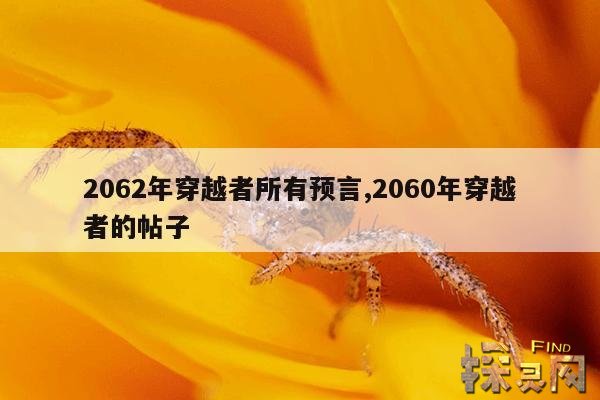 2062年穿越者所有预言,2060年穿越者的帖子