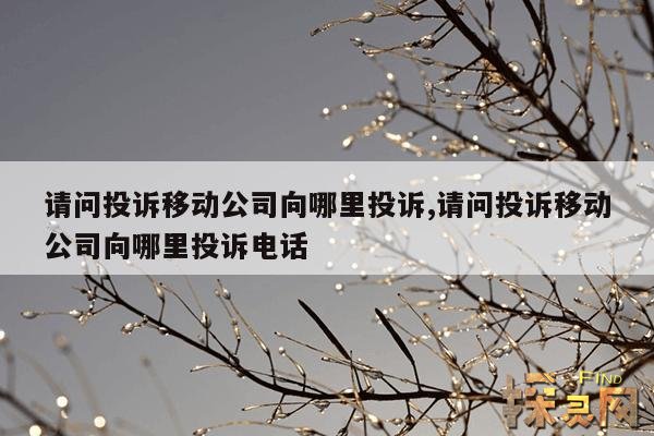 请问投诉移动公司向哪里投诉,请问投诉移动公司向哪里投诉电话