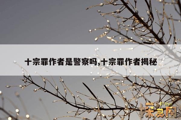 十宗罪作者是警察吗,十宗罪作者揭秘