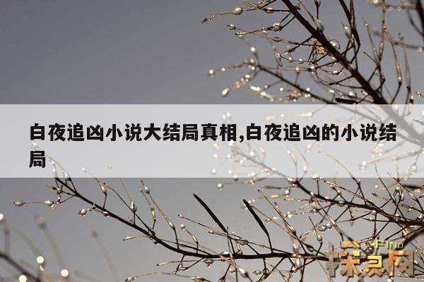 白夜追凶小说大结局真相,白夜追凶的小说结局
