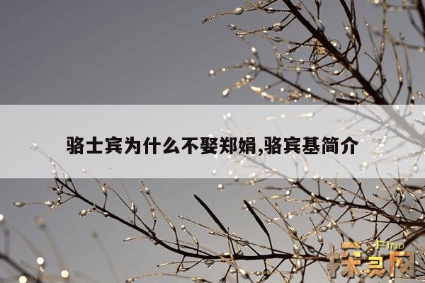 骆士宾为什么不娶郑娟,骆宾基简介