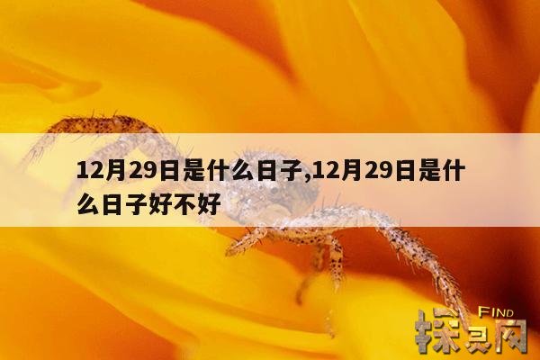 12月29日是什么日子,12月29日是什么日子好不好