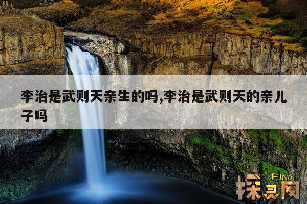 李治是武则天亲生的吗,李治是武则天的亲儿子吗