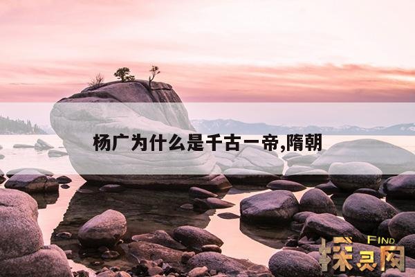 杨广为什么是千古一帝,隋朝