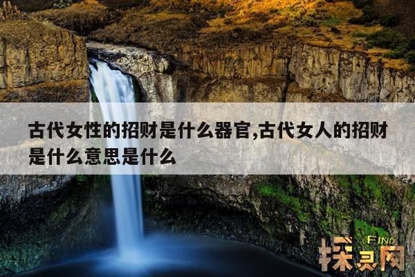 古代女性的招财是什么器官,古代女人的招财是什么意思是什么