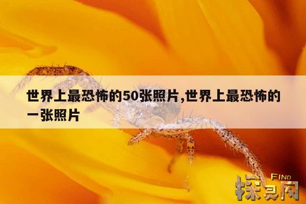 世界上最恐怖的50张照片,世界上最恐怖的一张照片