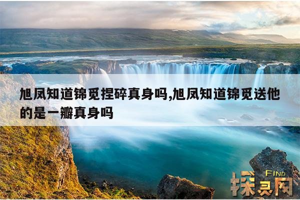 旭凤知道锦觅捏碎真身吗?,旭凤得知锦觅用真身