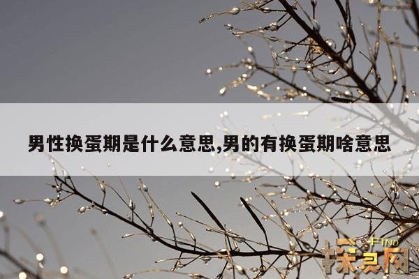 男性换蛋期是什么意思,男的有换蛋期啥意思