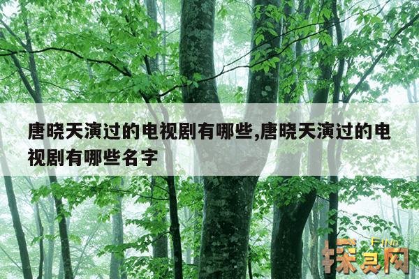 唐晓天演过的电视剧有哪些,唐晓天演过的电视剧有哪些名字