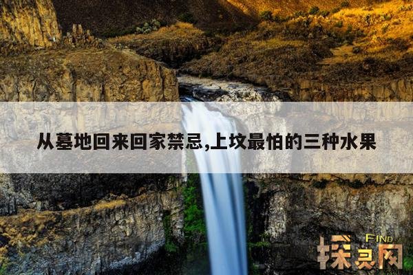 从墓地回来回家禁忌,上坟最怕的三种水果