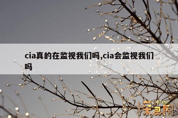 cia真的在监视我们吗,cia会监视我们吗