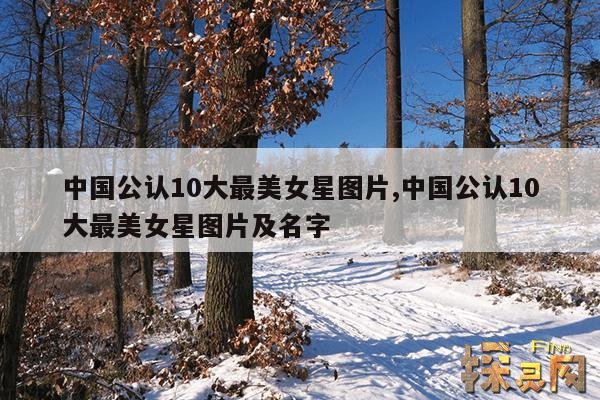 中国公认10大最美女星图片,中国公认10大最美女星图片及名字